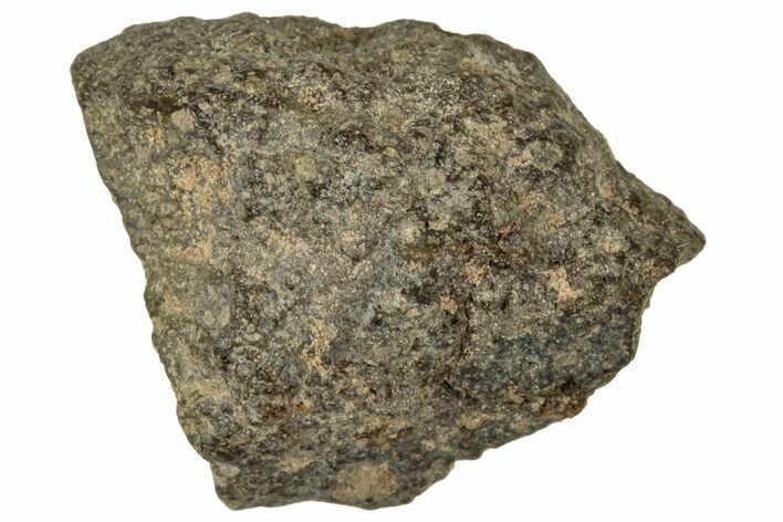 Abadla CM Chondrite Meteorite ( g) - Algeria #313038